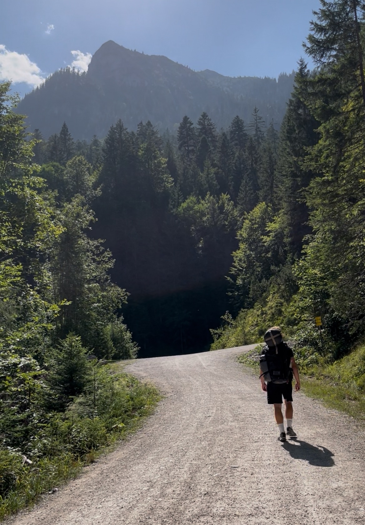 Waldweg Richtung Berg